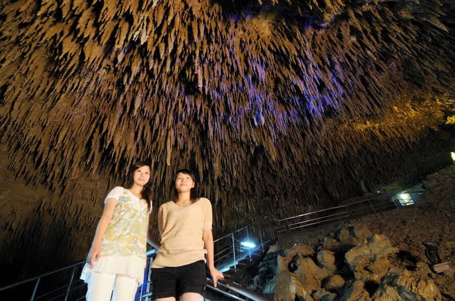 Okinawa: South Island Tour to Shurijo Castle & Okinawa World - Who Would Benefit Most From This Tour?