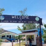 Olango Island Bird Watching and Snorkeling Day Trip from Cebu - Final Thoughts: Is This Tour Worth It?