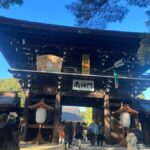 Old and new: Meiji Shrine, Takeshita Street & Shibuya Tour - Practical Details and Insights