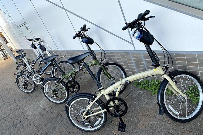 Old and New Tokyo Half Day Cycling - Tokyo Bay Olympic Sites by Bike - Considerations and Tips