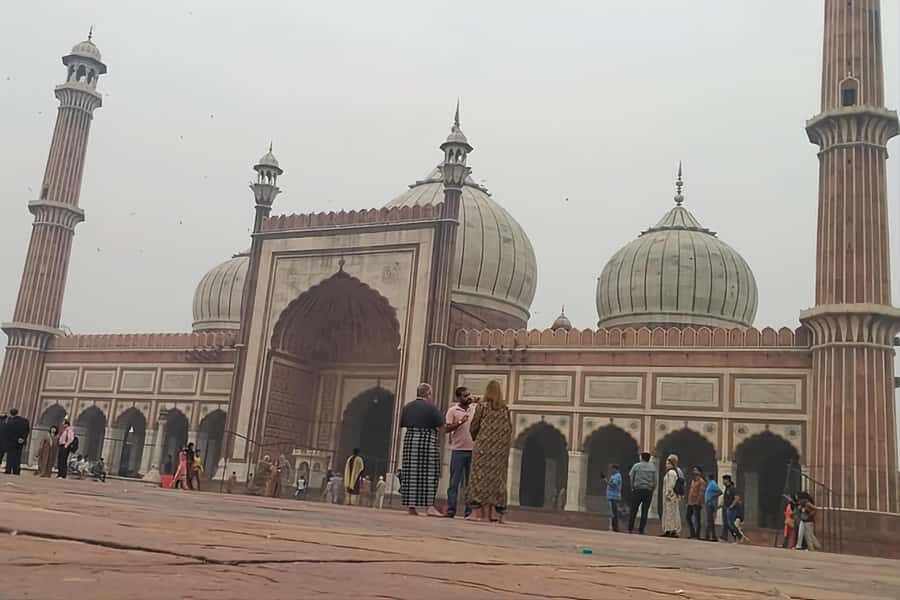 Old Delhi Tour With Rickshaw Ride and Street Food - Who Will Love This Tour?
