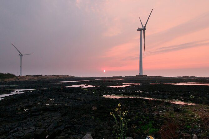 Olle Trail Sunset Tour in Jeju Island - Who Should Consider This Tour?