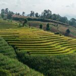 One day Doi Inthanon & Trekking at Pha Dok Siew - What Do You Get for the Price?