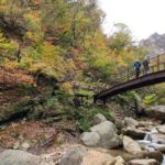 One-Day Hike at Mt. Seoraksan National Park from Seoul(Incl. Lunch) - The Bottom Line: Who Will Love This Tour?