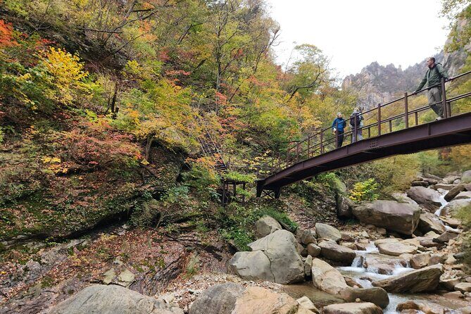 One-Day Hike at Mt. Seoraksan National Park from Seoul(Incl. Lunch) - The Bottom Line: Who Will Love This Tour?