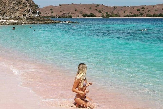 One Day Komodo Trip (Sailing) - Who Is This Tour Best For?