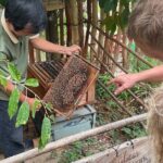 One Day Land Tour Phu Quoc Northern Island and Kayaking - What This Tour Means for You