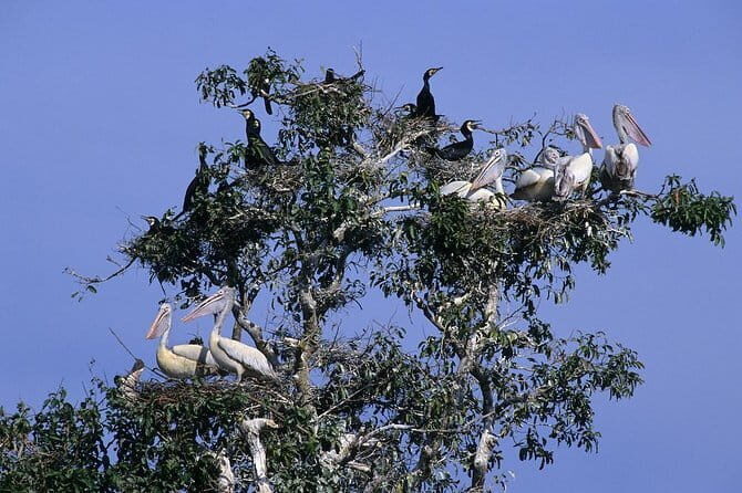 One Day Private Guide Tour to Prek Toal Biosphere - All Inclusive - A Closer Look at the Itinerary and Experience