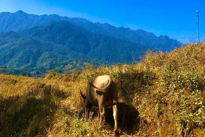One Day Sapa Trekking - Detailed Breakdown of the Itinerary