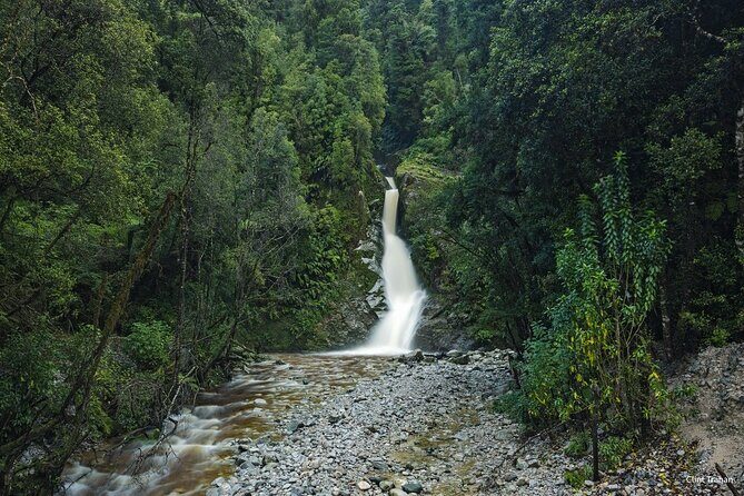 One Day Tour from Hokitika on Wilderness Trail by eBike - The Practical Side: What You Need to Know