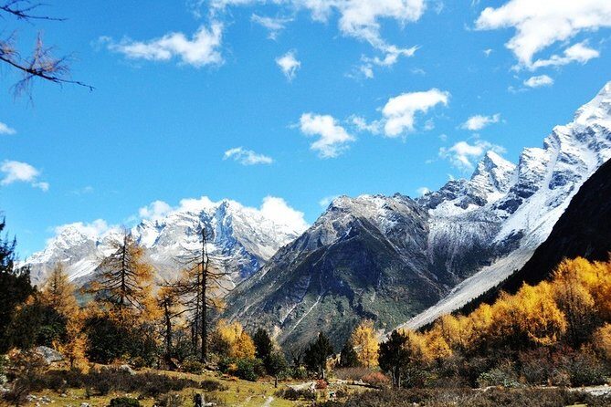 One Day Tour to Bipenggou - Who Will Love This Experience?