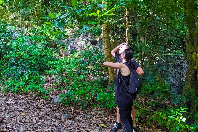 One Day Trekking Cat Ba National Park - Transportation, Group Size, and Overall Value