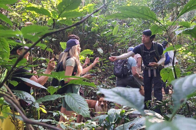 One Day Trekking Chiang Rai Jungle Adventure and Bamboo Cooking - Who Might Want to Think Twice