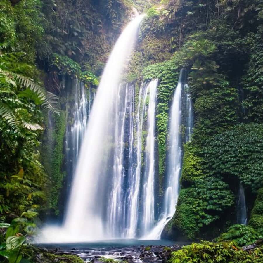 One Days Tours Panorama Walk Around Senaru Village - What Sets This Tour Apart?