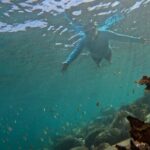 One on One Snorkel Experience - What to Expect from the Tour