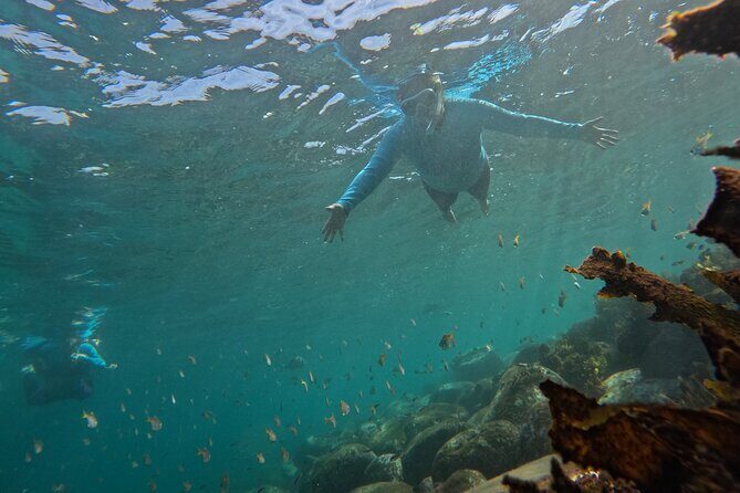 One on One Snorkel Experience - What to Expect from the Tour