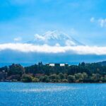 One Way Bus from Kawaguchiko to Tokyo - Who Is This Tour Best For?