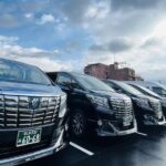 One Way Transfer between Kansai International Airport and Osaka - Who is this transfer ideal for?