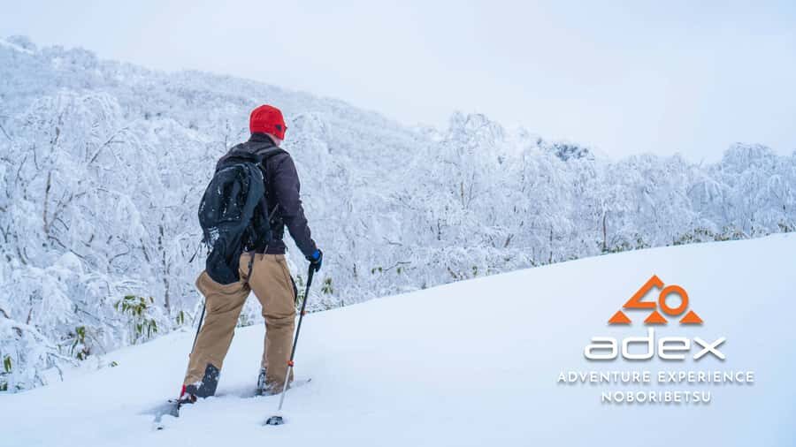 Orofure Pass Beginner Snowshoeing Tour - Who Will Enjoy This Tour?