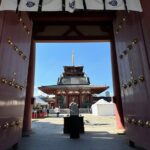 Osaka: 2.5 hours Combo Tour of Shitennoji and Isshinji Temples - The Itinerary: What You’ll See and Experience