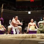 Osaka: 2026 Sumo Tournament Tour with Chanko-nabe Lunch - What to Expect from Your Osaka Sumo Tour