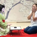 Osaka: 6hr Private Guided Tour with Geisha Performance - Who Would Love This Tour?