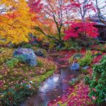 Osaka: Arashiyama Train, Fushimi Inari & Katsuo-ji Day Tour - Transportation and Guides