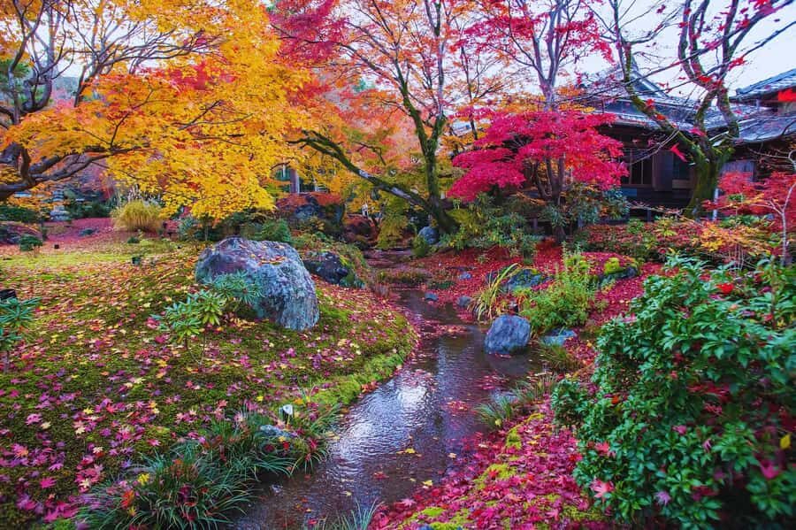 Osaka: Arashiyama Train, Fushimi Inari & Katsuo-ji Day Tour - Transportation and Guides