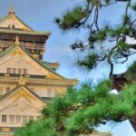 Osaka Castle Admission Ticket - Who Should Consider This Tour?