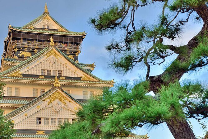 Osaka Castle Admission Ticket - Who Should Consider This Tour?