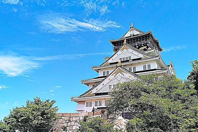Osaka: Castle and Stone Walls Guided Walking Tour - Who Will Benefit Most?