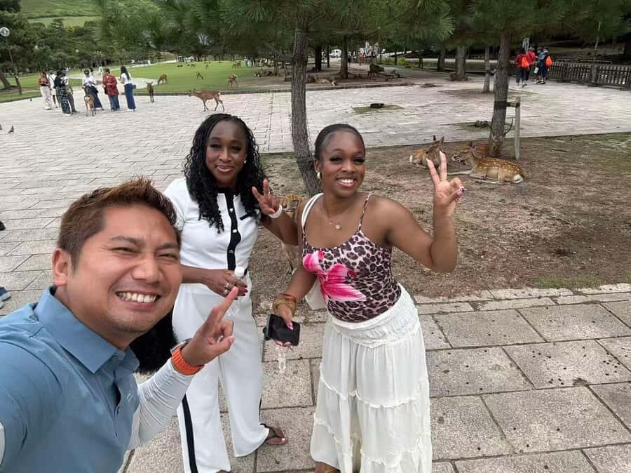 Osaka Day Trip by Private CarHotel Pickup & English Driver - Detailed Breakdown of the Itinerary