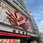 Osaka: From History to Religion and local wonders - The Traditional Matcha Tea Ceremony