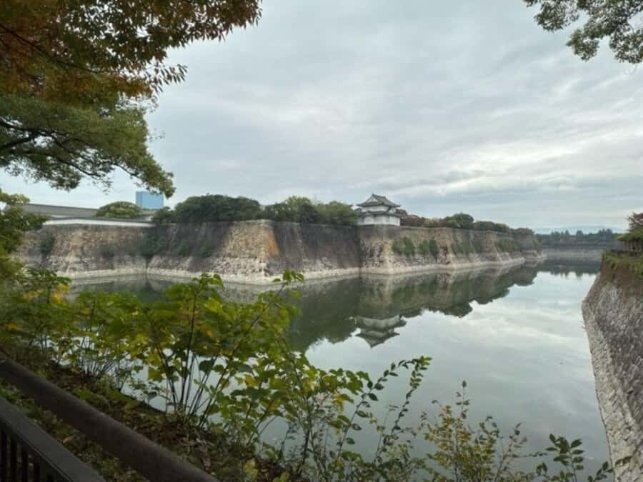 Osaka: History, Architecture & River Vistas Private tour - The Practicalities and Value