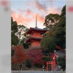 Osaka: Kobe Private Day Tour with Local Driver and Transfers - The Itinerary in Detail