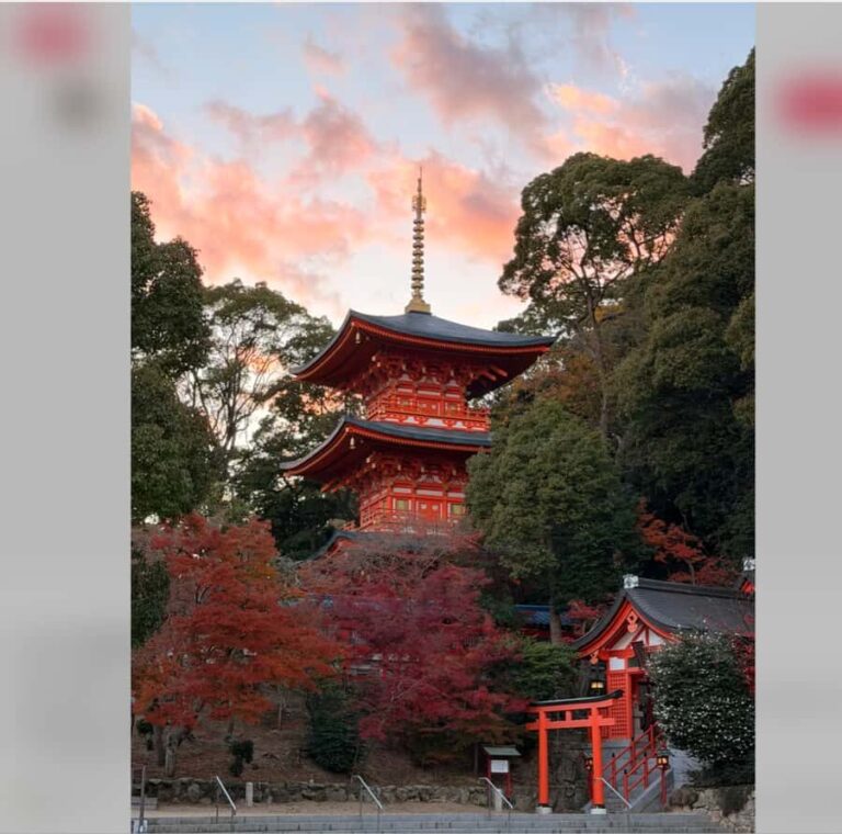 Osaka: Kobe Private Day Tour with Local Driver and Transfers - The Itinerary in Detail