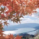 Osaka/Kyoto: Amanohashidate, Ine Bay & Nariaiji Bus Tour w/ Lunch - Who Will Love This Tour?