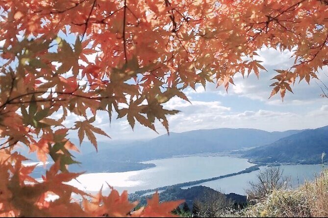 Osaka/Kyoto: Amanohashidate, Ine Bay & Nariaiji Bus Tour w/ Lunch - Who Will Love This Tour?