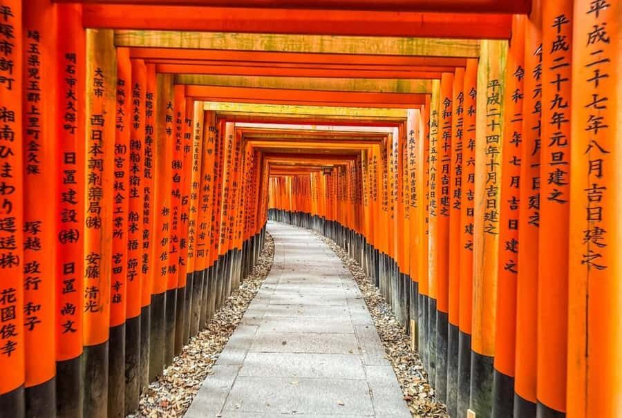 Osaka: Kyoto And Nara private Adventure Tour Hotel Pickup - Practical Details and What to Expect