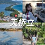 Osaka/Kyoto: Ine Bay & Amanohashidate Private Day Trip - Why Choose This Tour?