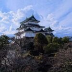 Osaka/Kyoto: Mt. Koya & Nachi Falls UNESCO Private Day Tour - Taking in Japan’s Spiritual Heartland: The Mt. Koya & Nachi Falls Tour