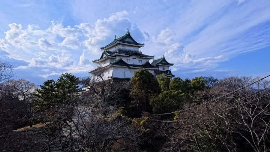 Osaka/Kyoto: Mt. Koya & Nachi Falls UNESCO Private Day Tour - Taking in Japan’s Spiritual Heartland: The Mt. Koya & Nachi Falls Tour