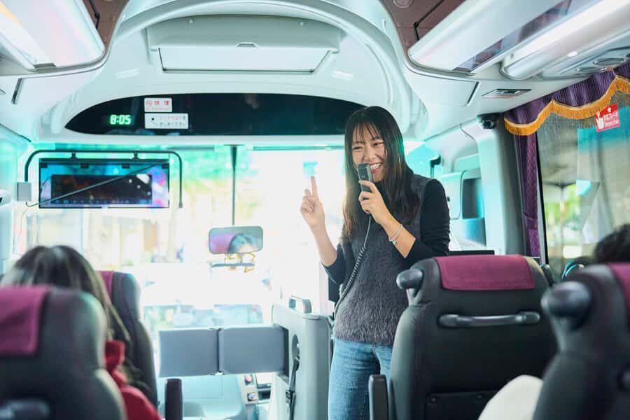 Osaka Kyoto: Nijo Castle, Nara, Arashiyama, Day Trip by Bus - Key Points