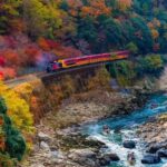 Osaka: Kyoto Private Day Tour with Sagano Scenic Railway - Exploring the Itinerary in Detail