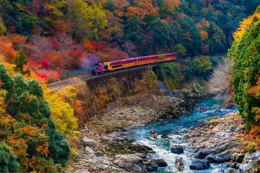Osaka: Kyoto Private Day Tour with Sagano Scenic Railway - Exploring the Itinerary in Detail