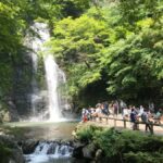 Osaka: Minoh Forest Walk & Giant Waterfall with Local Lunch - How the Tour Unfolds