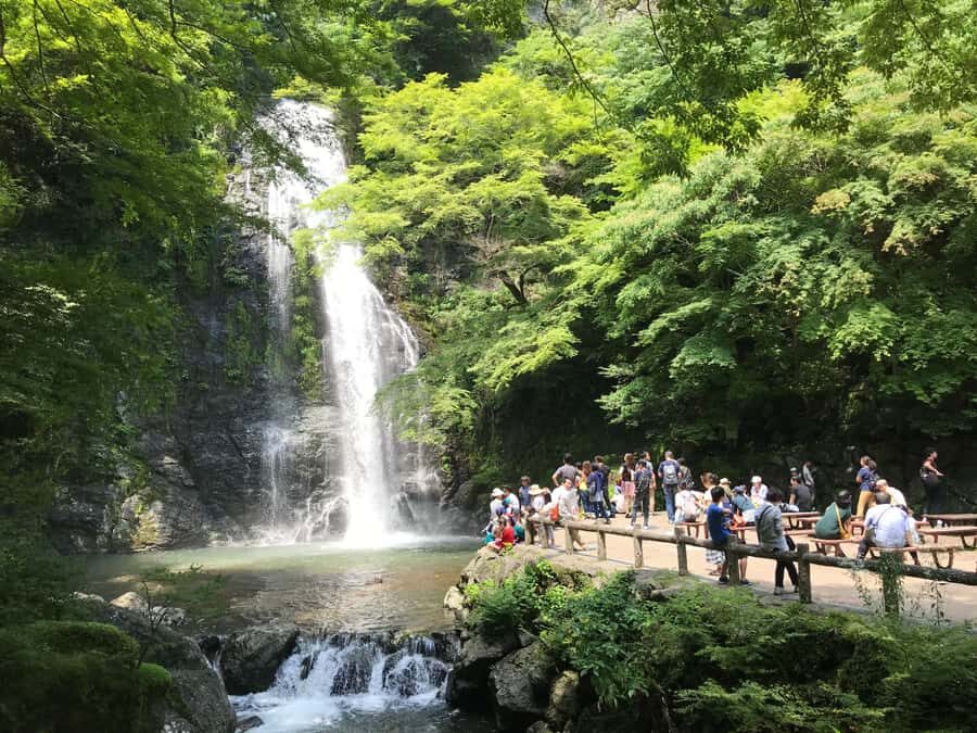 Osaka: Minoh Forest Walk & Giant Waterfall with Local Lunch - How the Tour Unfolds