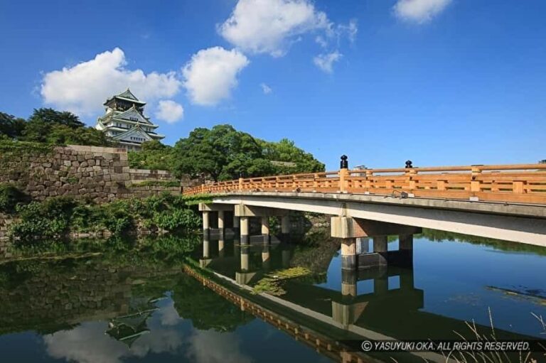 Osaka: Osaka Castle Guided Tour with Local History Expert - Why This Tour Is a Great Choice