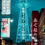 Osaka Private Car Day Trip with Hotel Pickup & English Driver - Who Is This Tour Best For?