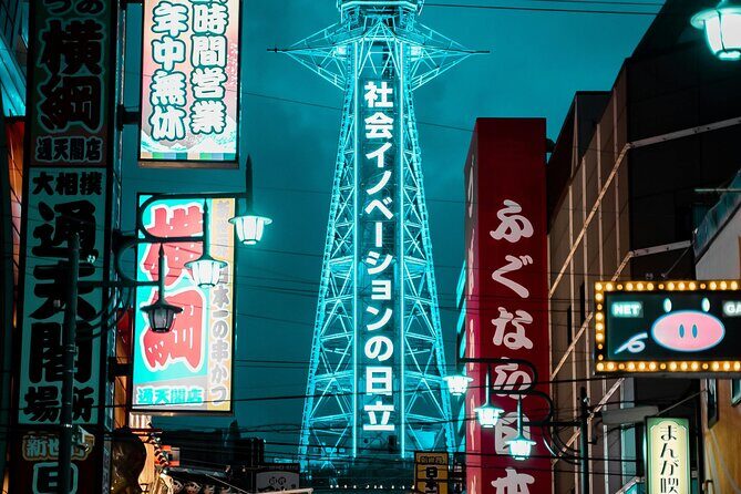 Osaka Private Car Day Trip with Hotel Pickup & English Driver - Who Is This Tour Best For?